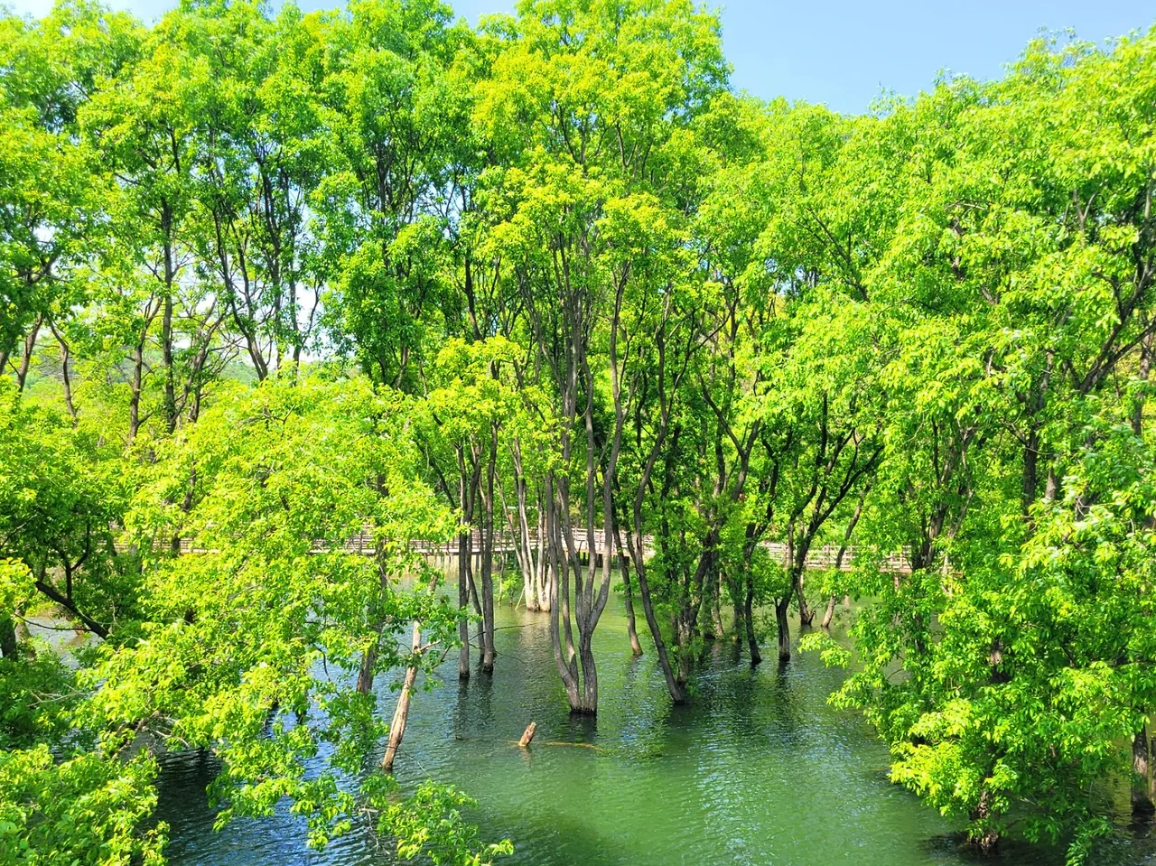고복자연공원