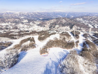 휘닉스 스노우파크