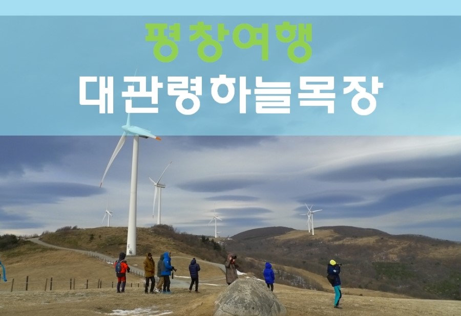 대관령 하늘목장