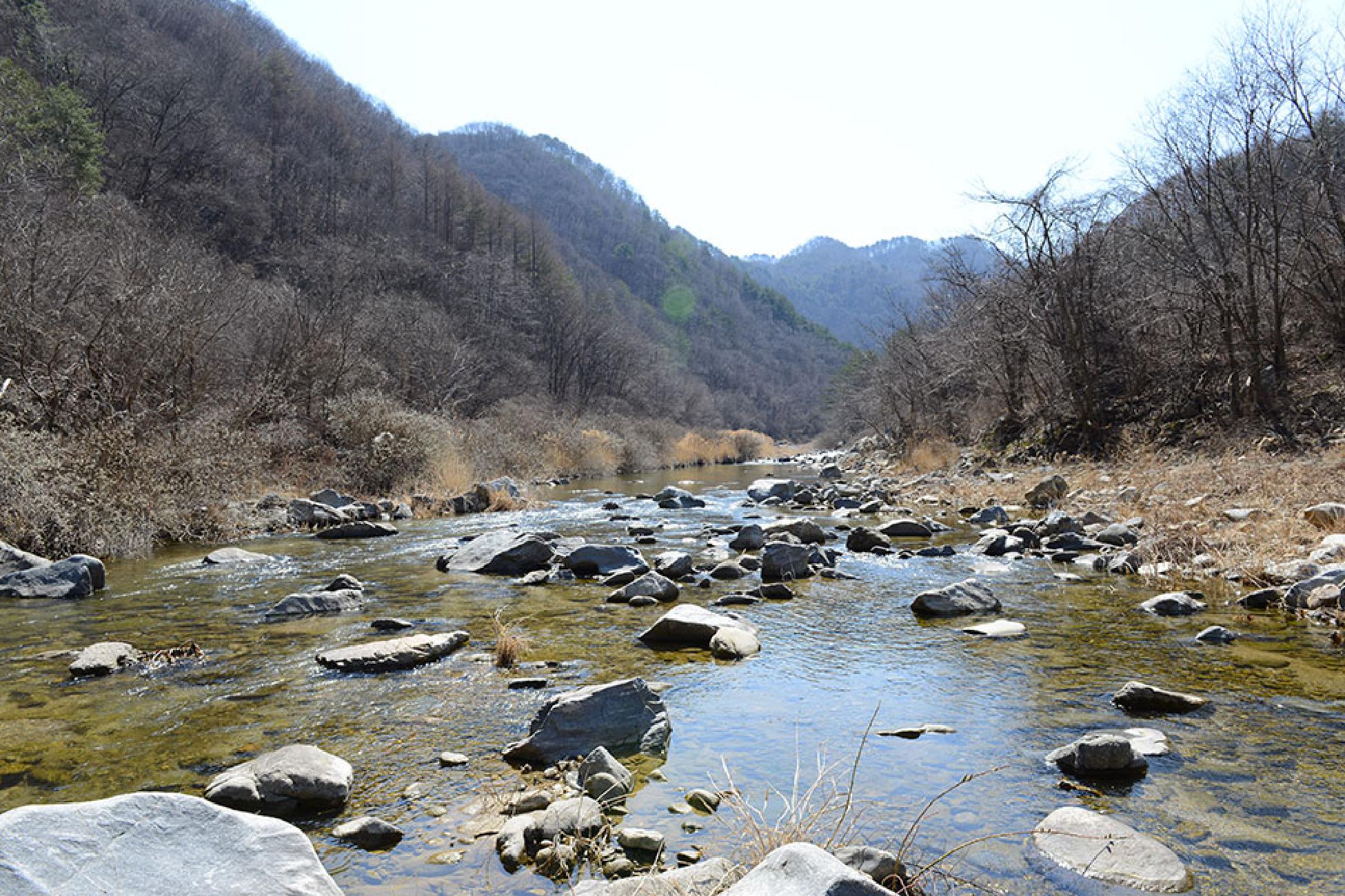 반디하우스캠핑장
