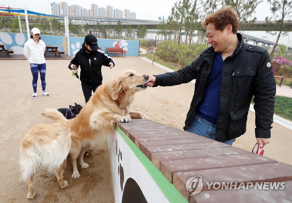 송도 도그파크