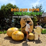 감자밭