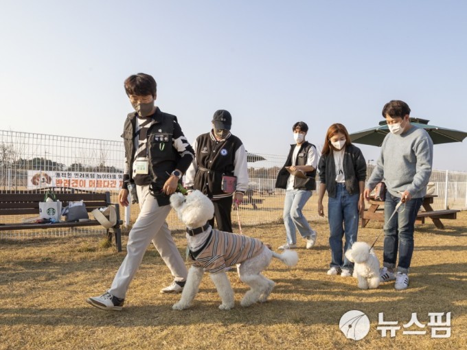익산시 반려동물 놀이터