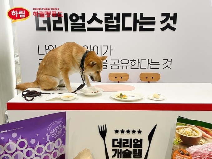 하림펫푸드 해피댄스스튜디오