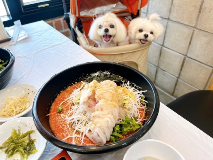 강릉김군박군횟집